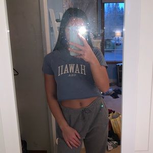 Brandy Melville Hawaii Cropped Tee